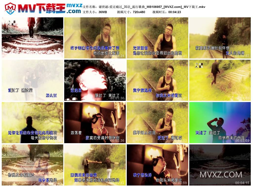 谢世超-爱过痛过_国语_流行歌曲_MB106957